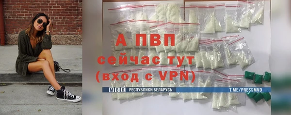 шишки Арсеньев