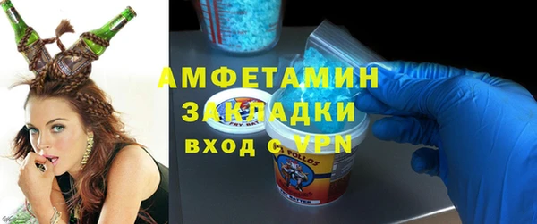 шишки Арсеньев