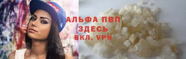 шишки Арсеньев