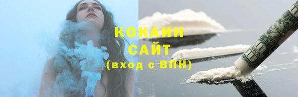 шишки Арсеньев