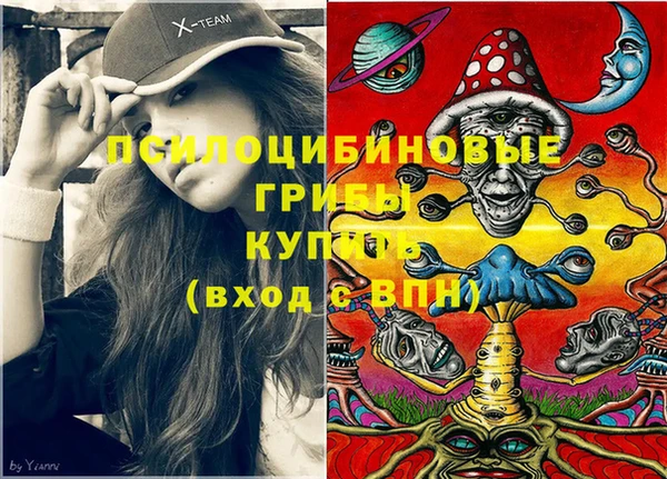 шишки Арсеньев
