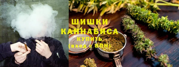 шишки Арсеньев