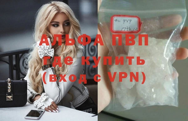 шишки Арсеньев