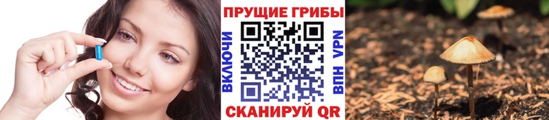 Галлюциногенные грибы прущие грибы Островной